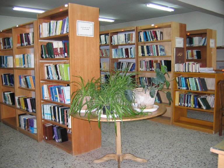 وجود ۱۱ باب کتابخانه فعال در نهاوند