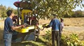 رونمایی از ماشین کشت حوضچه‌ای در استان همدان
